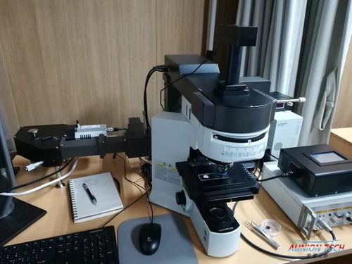 紅外與拉曼光譜技術 原理、應用與技術交流綜述